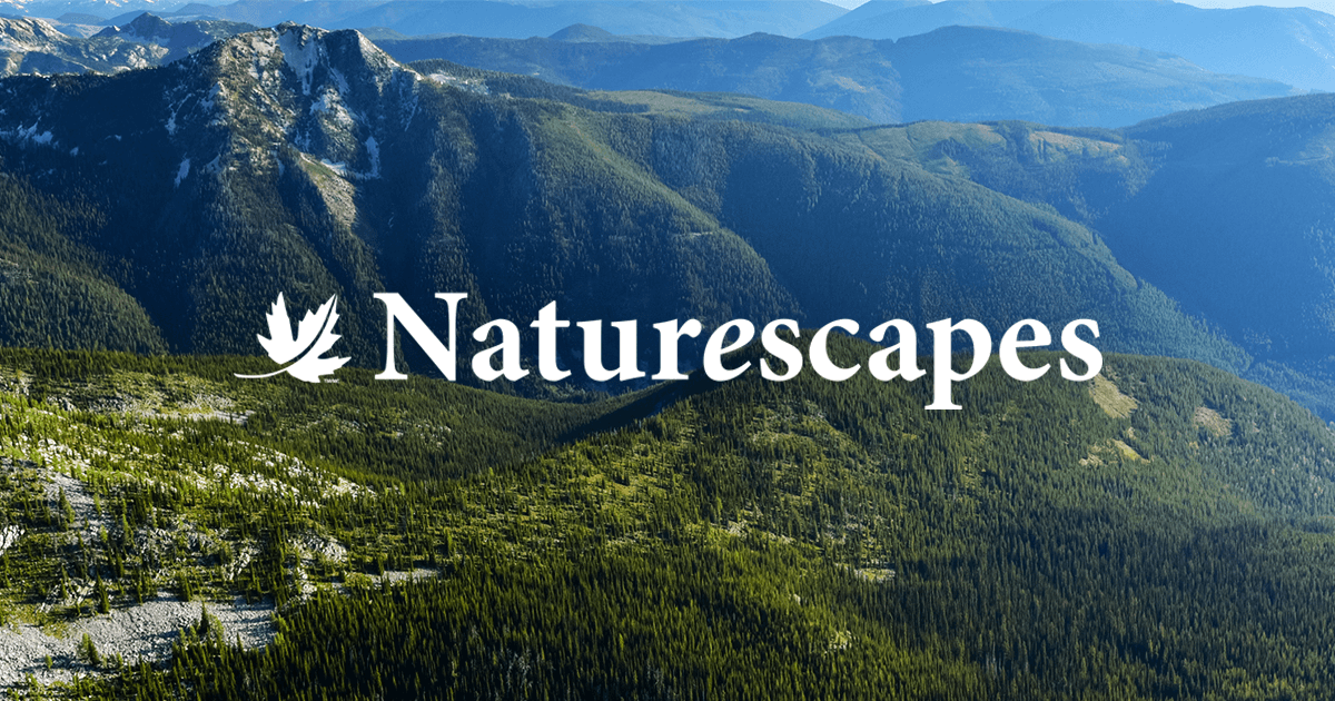 www.nccnaturescapes.ca